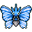 Venomoth