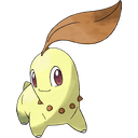 Chikorita