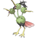 Dodrio