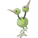Doduo