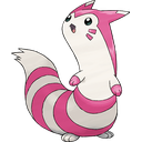 Furret