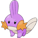 Mudkip