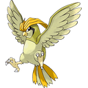 Pidgeotto