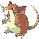 Raticate