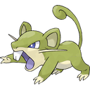 Rattata