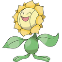Sunflora