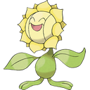 Sunflora