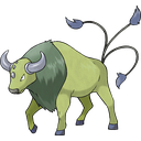 Tauros