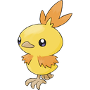 Torchic