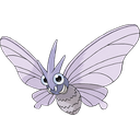 Venomoth