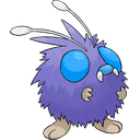 Venonat